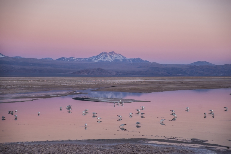 Salar de Atacama-10